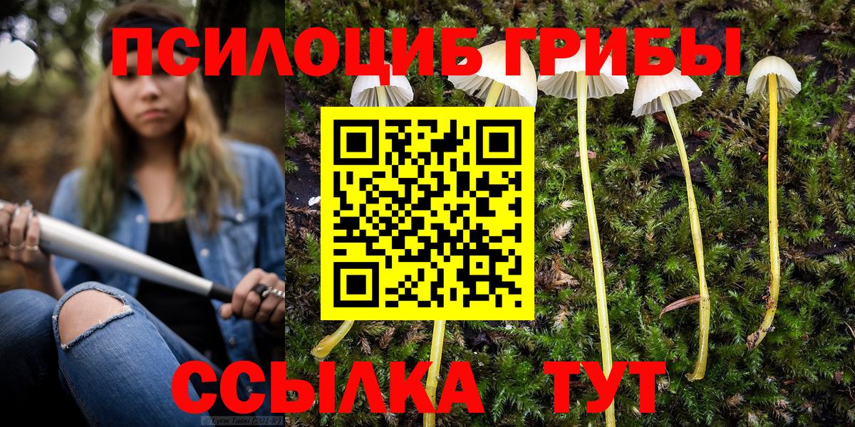 Ачинск  Галлюциногенные грибы Psilocybe  Вход с VPN 